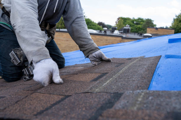 Best Chimney Flashing Repair  in Crimora, VA